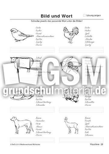 BuW Haustiere28.pdf